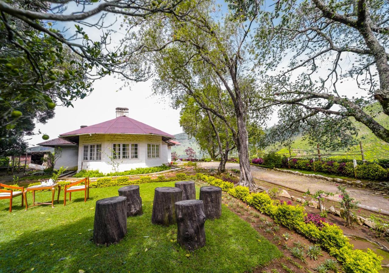 Arivikad Tea Bungalow Munnar By Voye Homes Suryanelli Kültér fotó