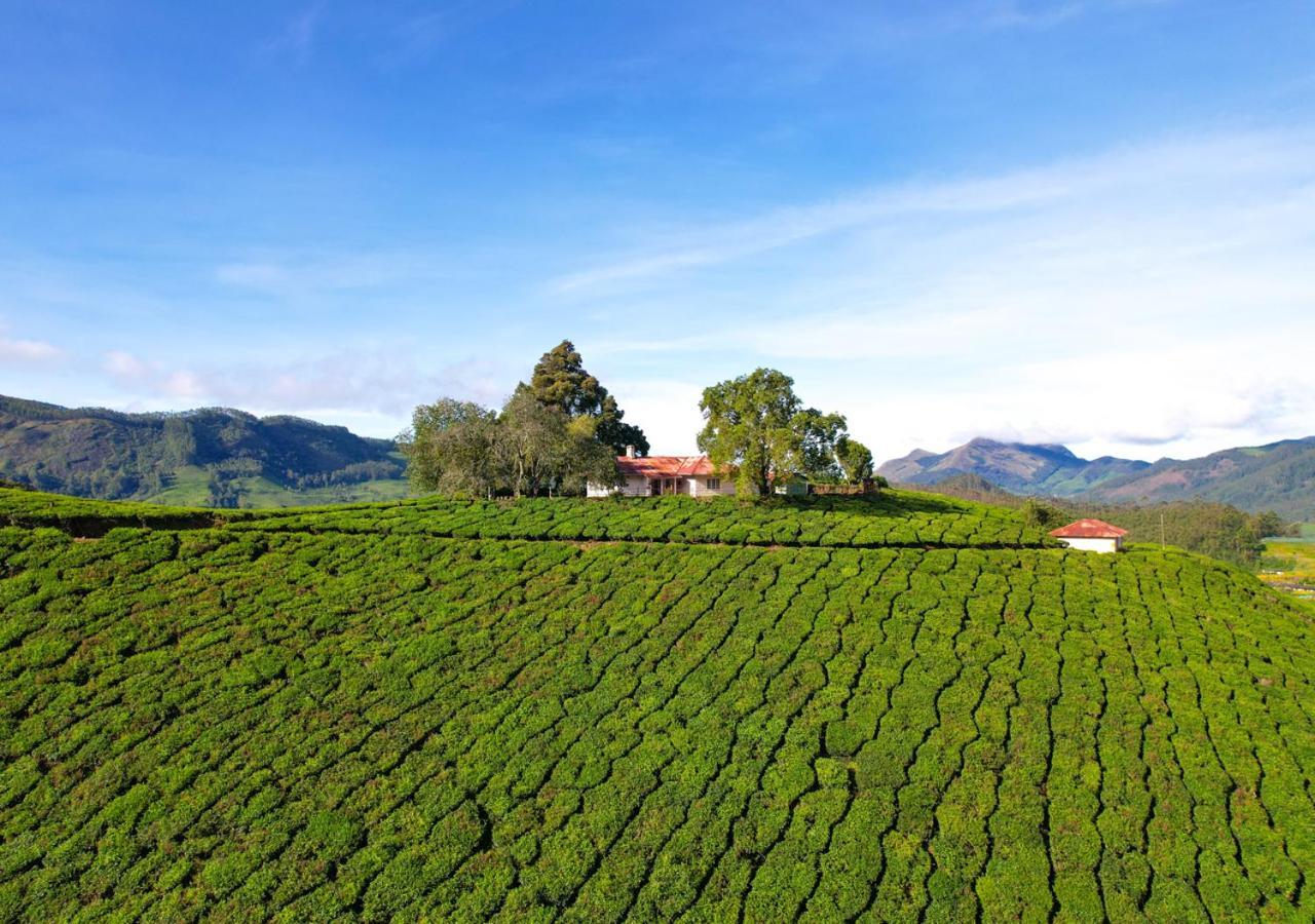 Arivikad Tea Bungalow Munnar By Voye Homes Suryanelli Kültér fotó
