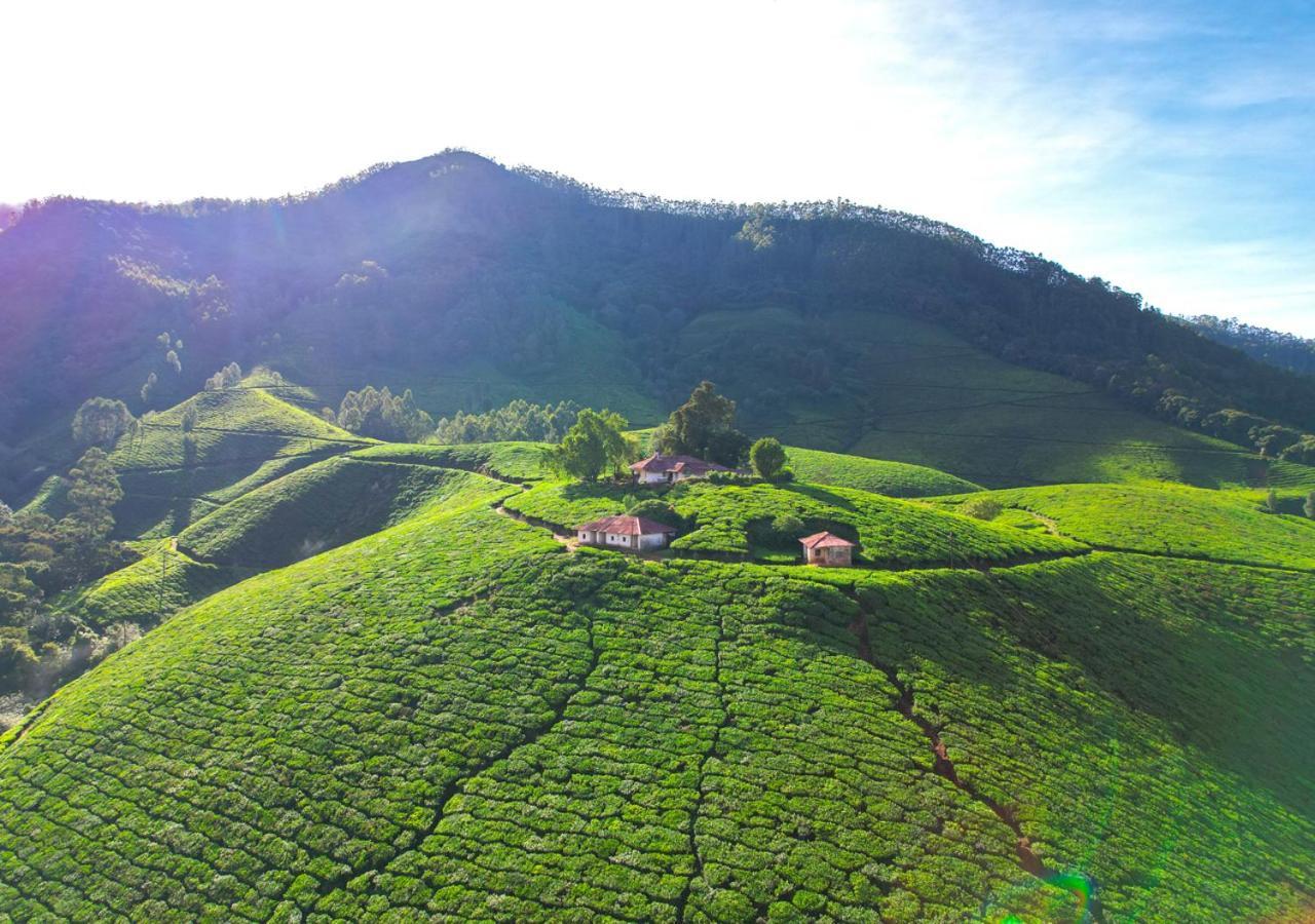 Arivikad Tea Bungalow Munnar By Voye Homes Suryanelli Kültér fotó