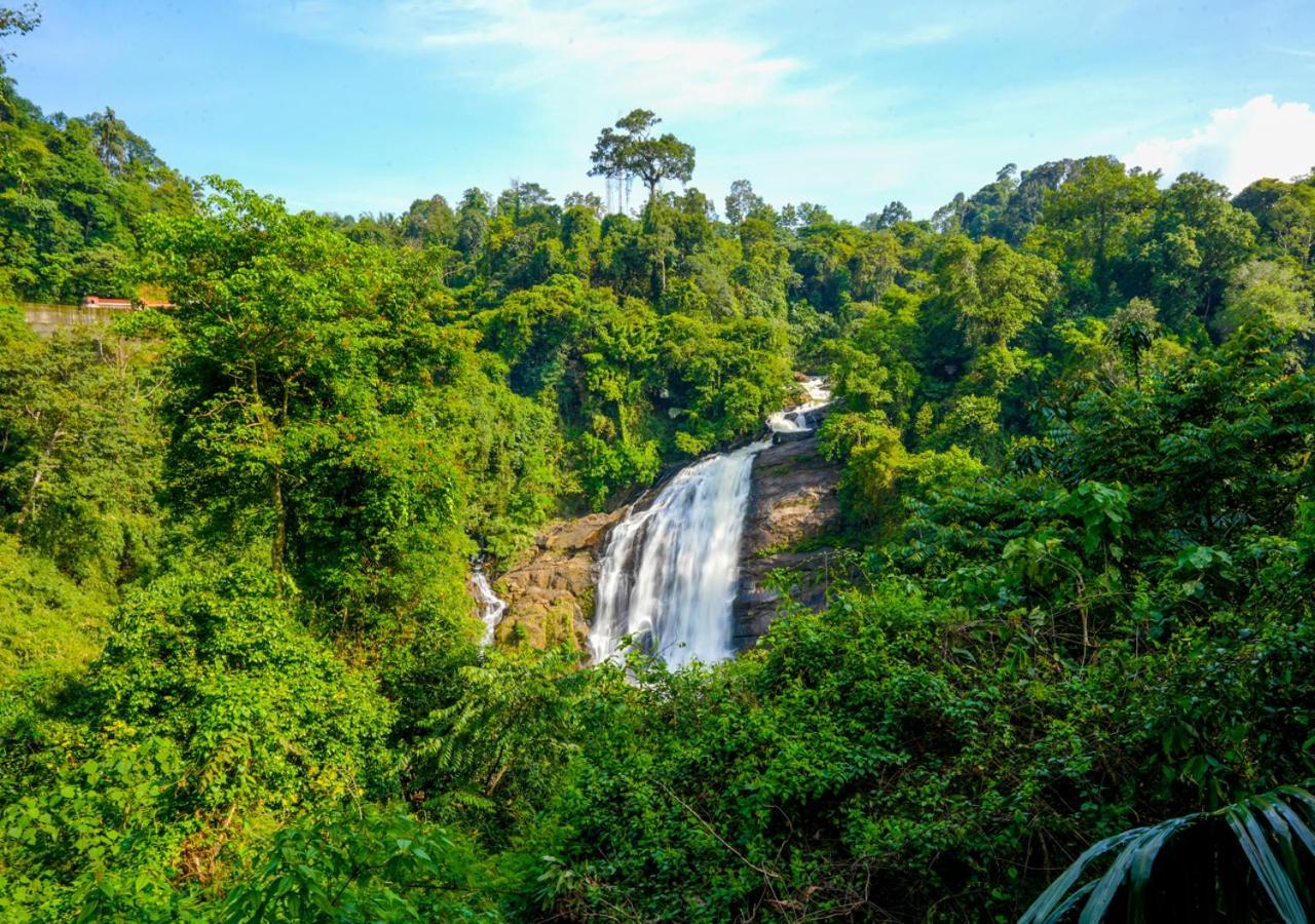 Arivikad Tea Bungalow Munnar By Voye Homes Suryanelli Kültér fotó