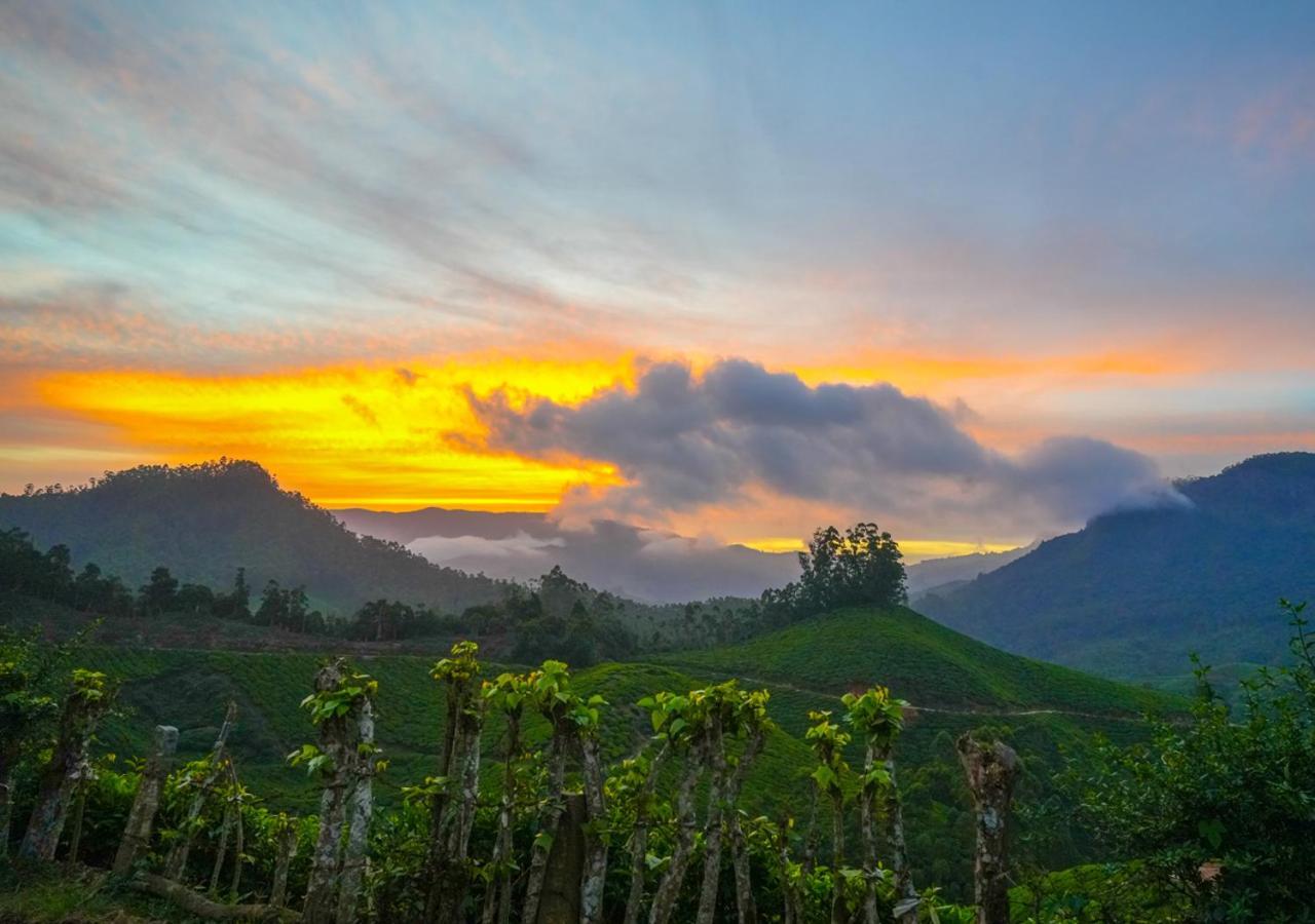 Arivikad Tea Bungalow Munnar By Voye Homes Suryanelli Kültér fotó